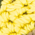 Yarnicharmz Dangle - Hand Crochet - Avocado