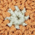 Lumi Crossbody - Hand Crochet - Flower Basket
